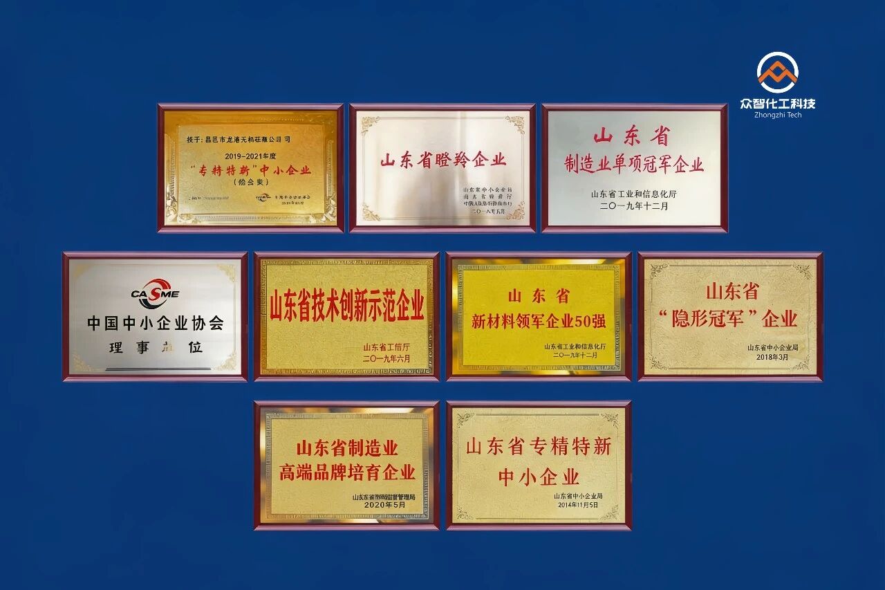 Company Team and Honors