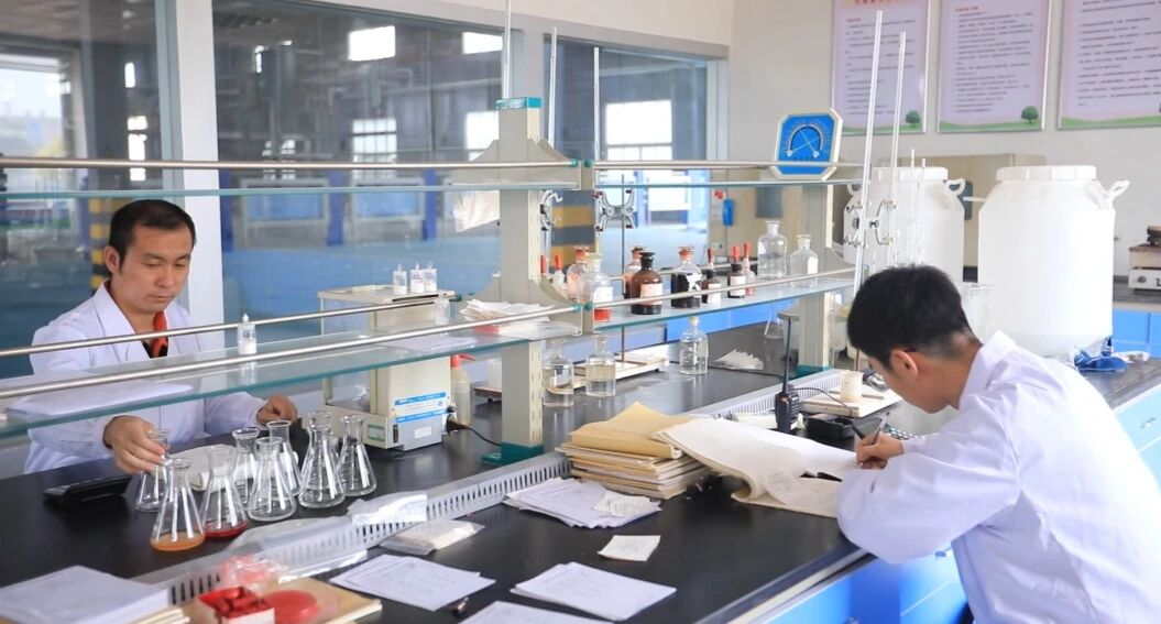 Behind Every Reliable Product: The People Who Ensure Quality at Zhongzhi Chemical